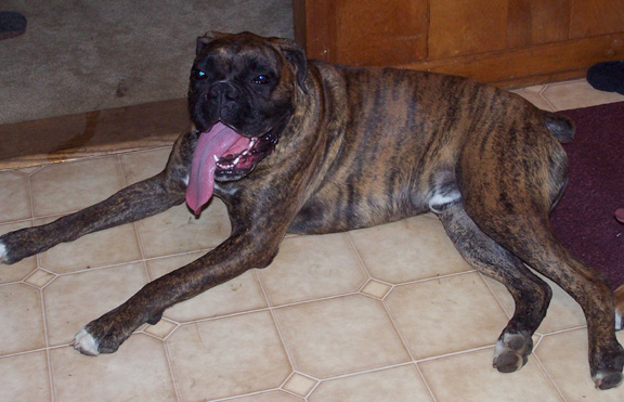 GOOD NIGHT look at that tongue!