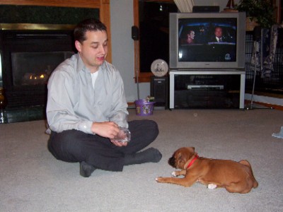 Good Puppy!
