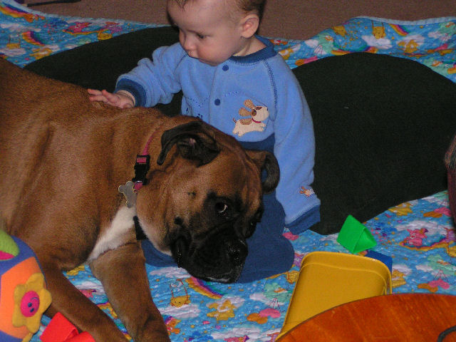 Good Puppy