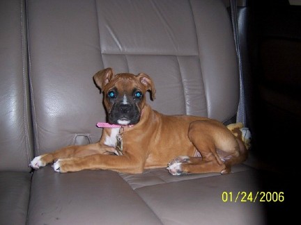 GoodGirl