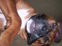 Goofball!