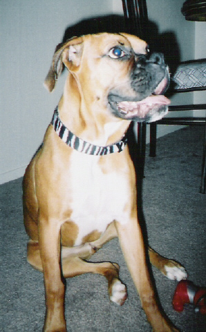 goofy