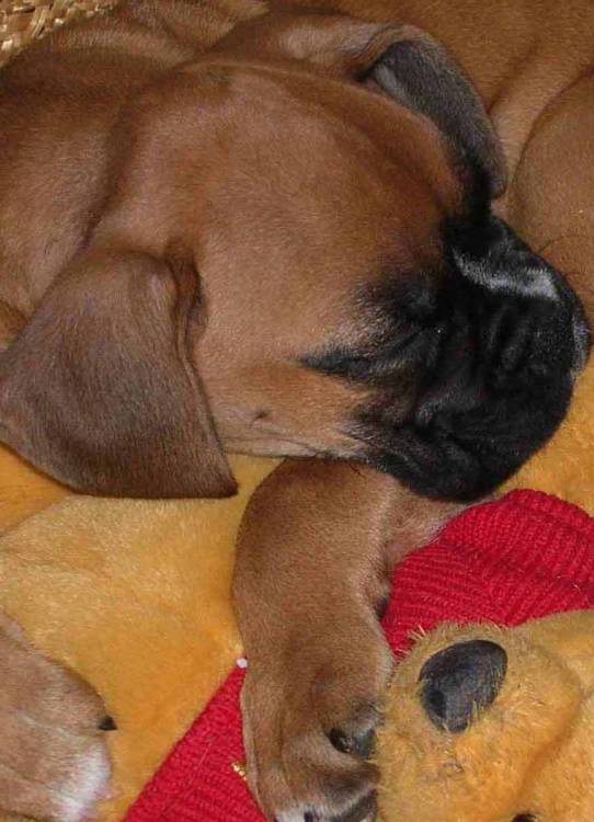 Goooooooood Night