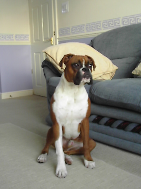 Gorgeous boy !!