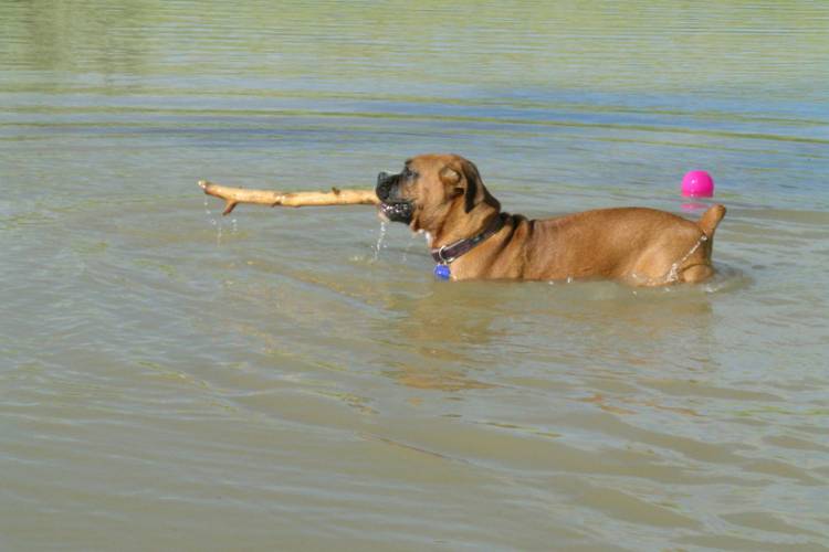 Got my stick!