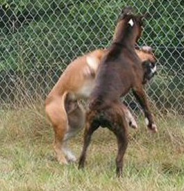 Gotcha!
