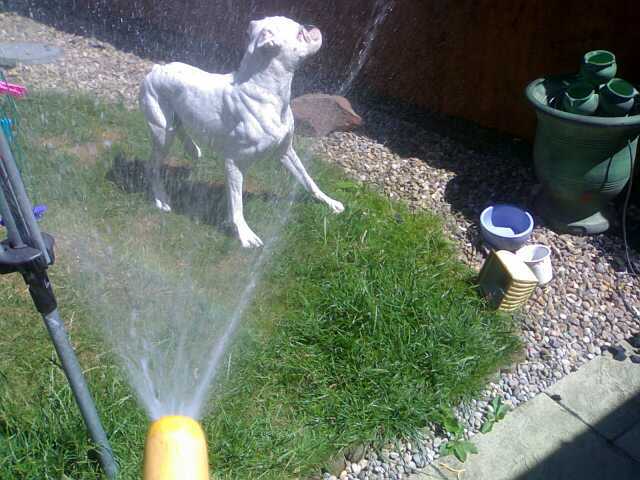 Gotcha!!!!!!