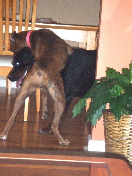 Gotcha!!!