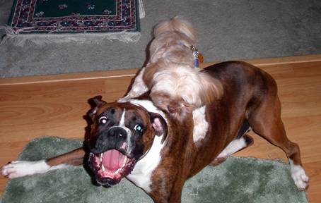 Gotcha!