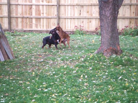 Gotcha!!!