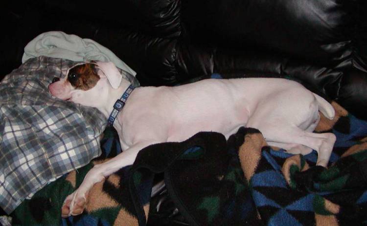 Gotta be comfy.