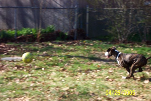 Gotta Get That Ball