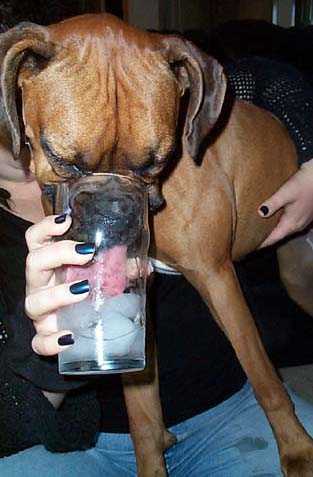 gotta get the ice