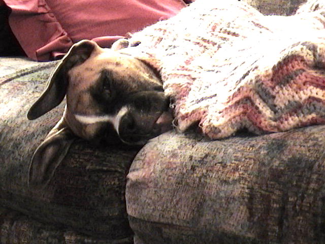 grabbin a nap