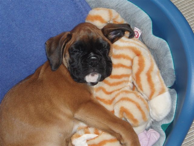 Gracie 6 mths