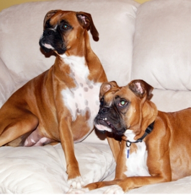 Gracie and Isabtelle