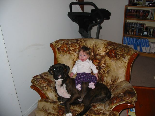 Gracie finds a comfy place to relax