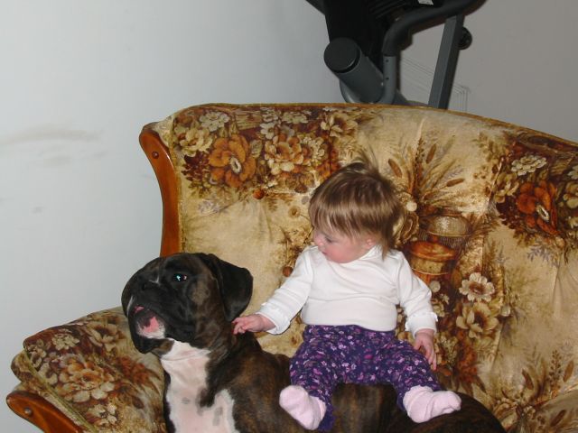 Gracie give Max a good scratch