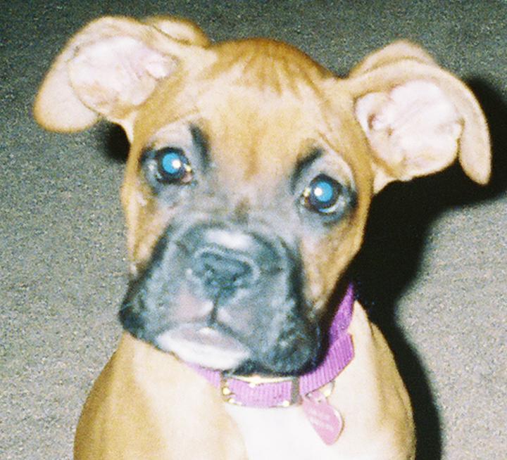 Gracie!