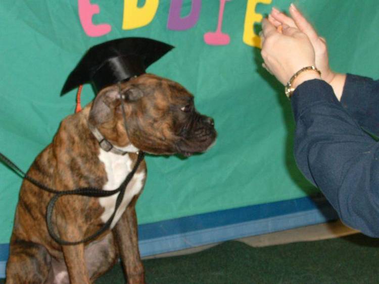 Graduation Day!