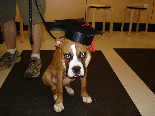Graduation!