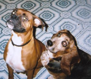 Grandma Meisha and Gracie!