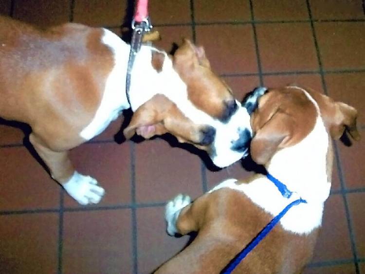 Greeting my sister with kisses