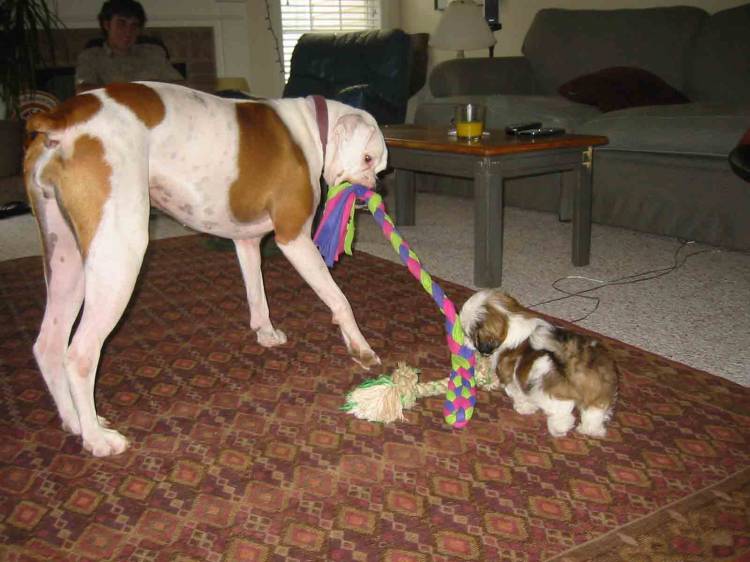 Greta & her new friend