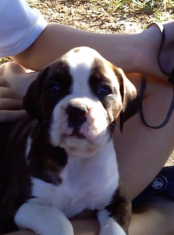 Greta_6_weeks