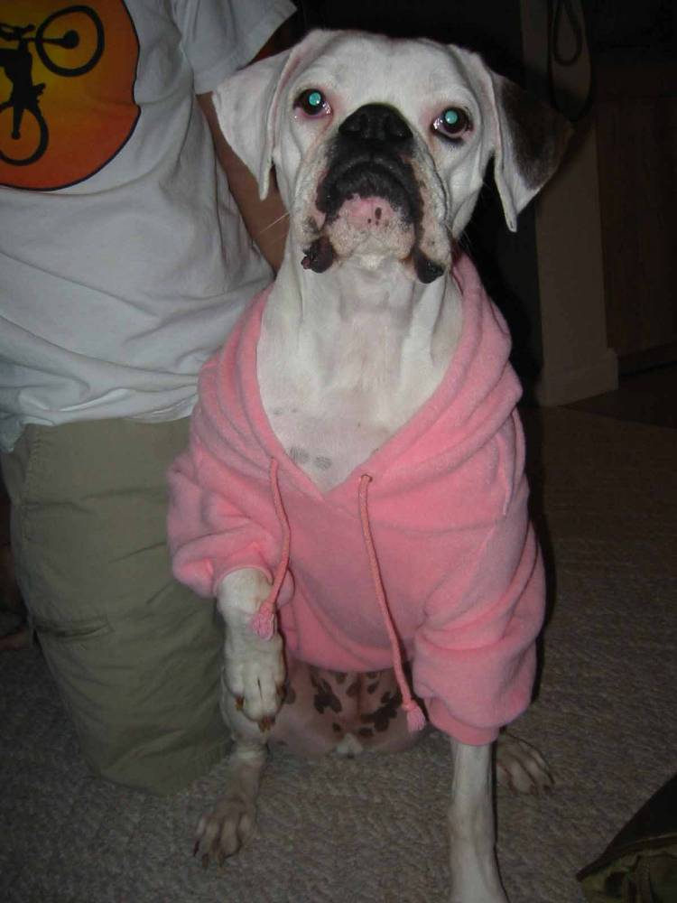 Greta's new hoodie