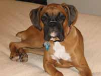 Gretchen at 7 months