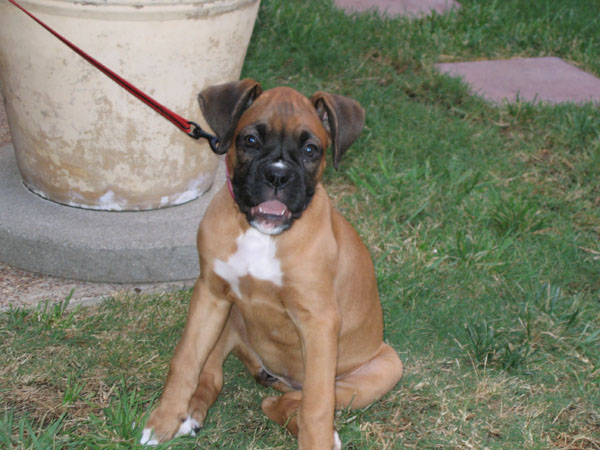 Gretchen at 9 weeks