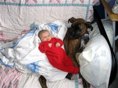Griffin Baby sitting.