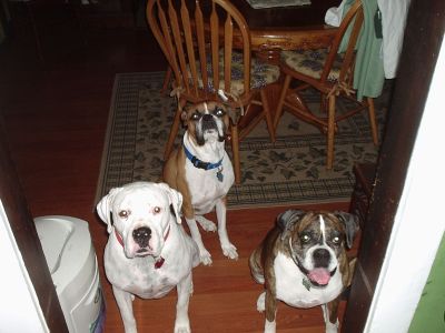 Group Photo