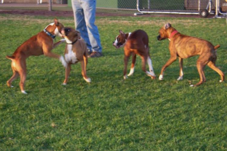 Group Play