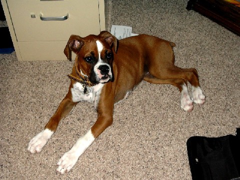 Growing up fast