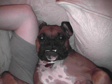 GRRRRRRRRRRRRR!!!!!!!!!!!!!!!!