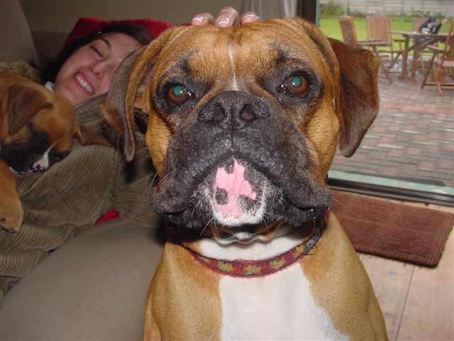 Grumpy Tyson