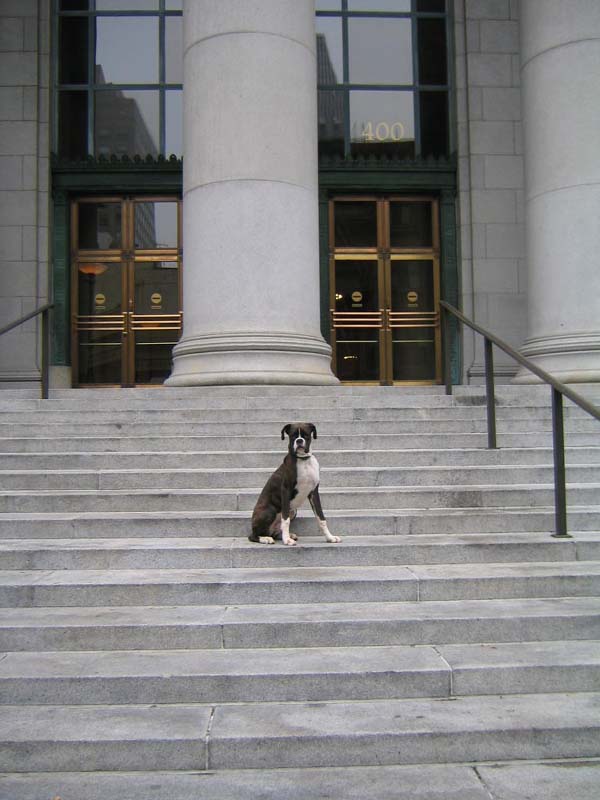 Guarding