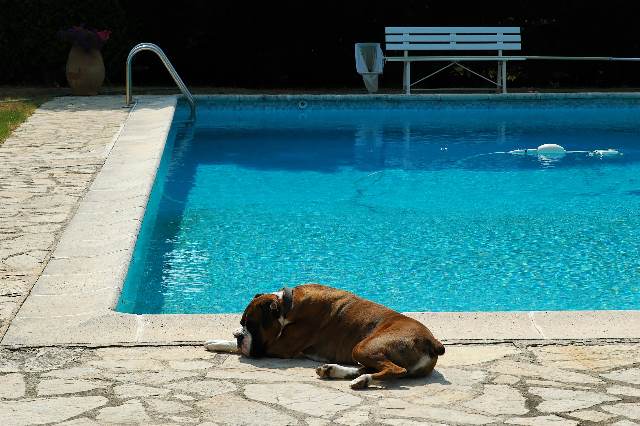 Guarding