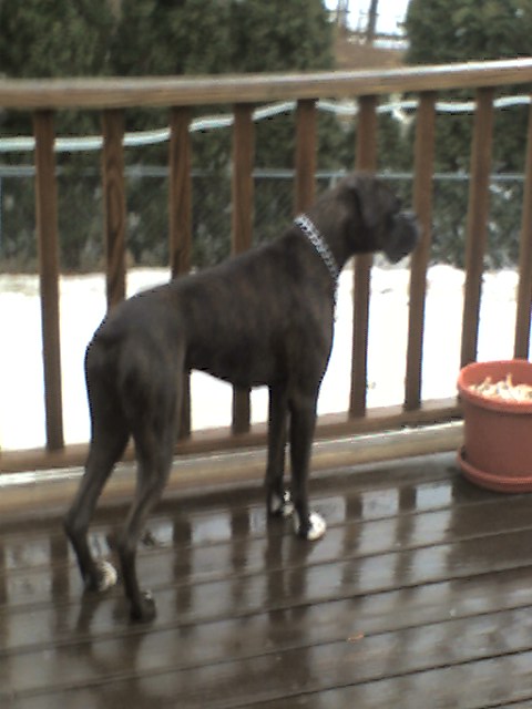 guarding