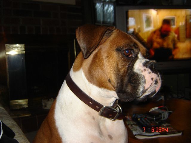 Guinness