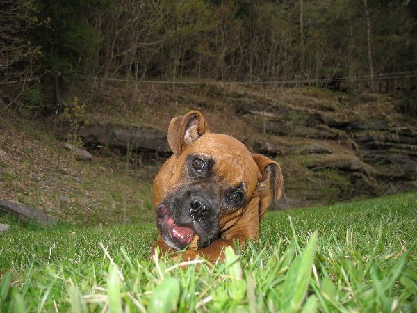gunnar