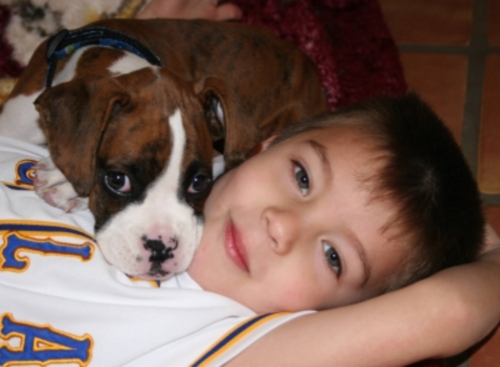 Gunnar's Boy