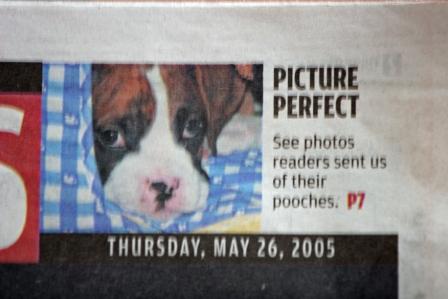 Gunnar's Famous!