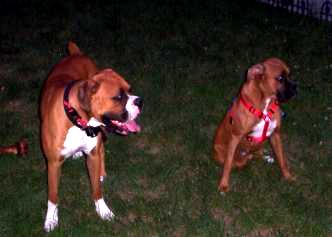 Gunner and Jesse Jane!