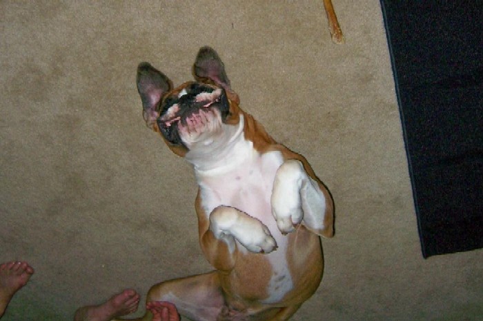 Gunner just being silly