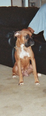 Gunner's mom, penny