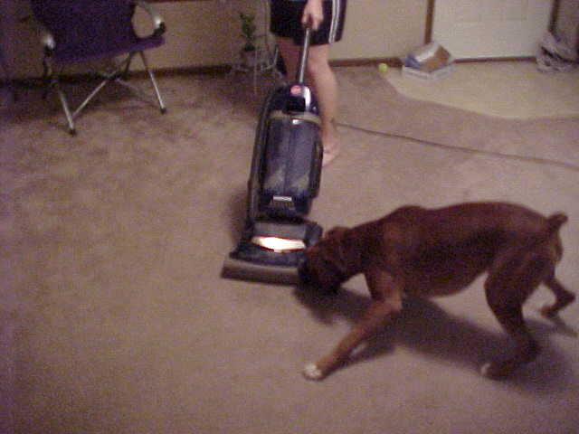 Gunny vs. the Vacuum