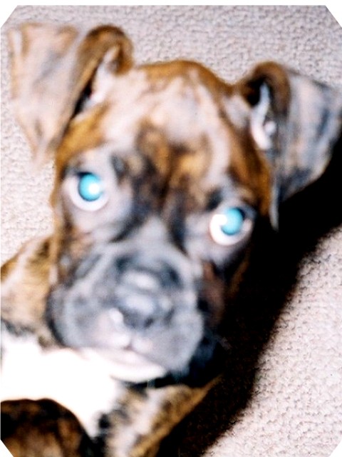gunny1